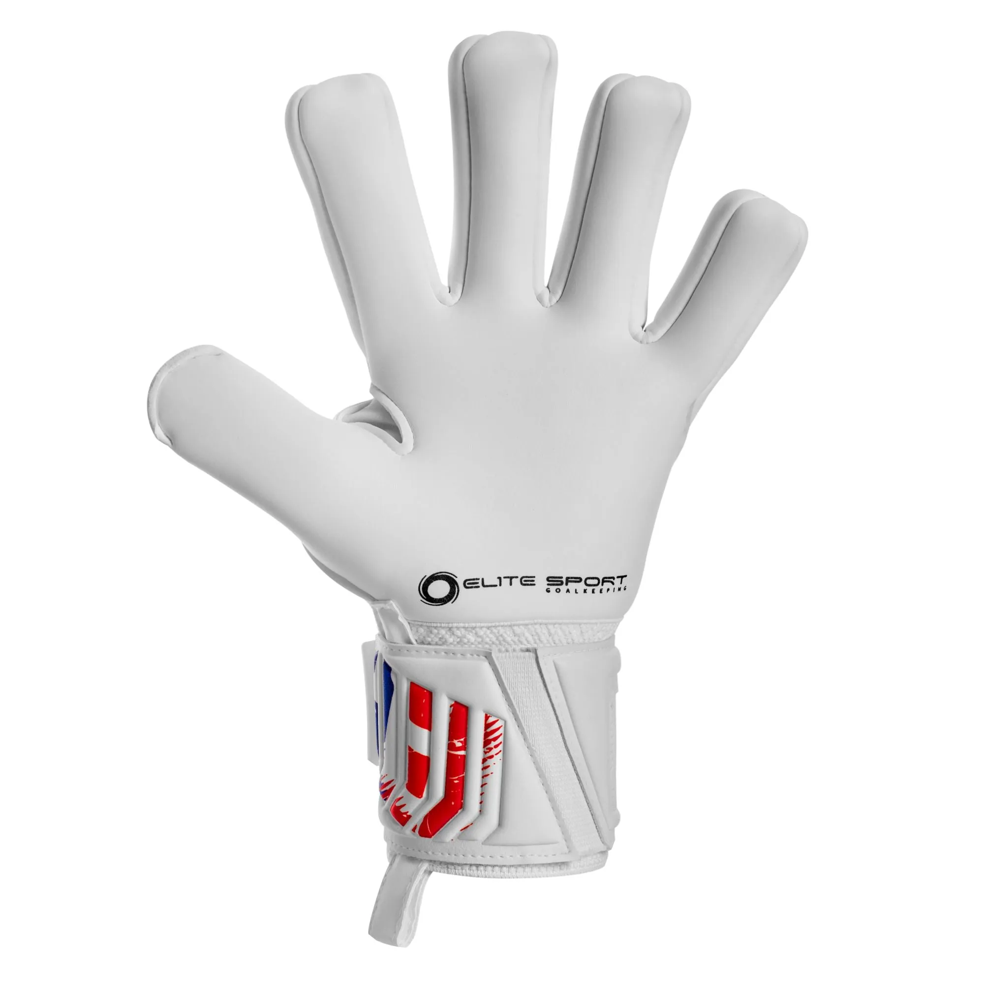 Lion 2024-2025 Goalkeeper Gloves