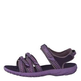 Tirra K Falls Purple Pennant